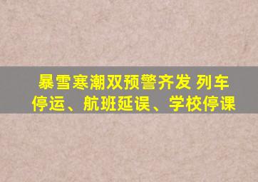 暴雪寒潮双预警齐发 列车停运、航班延误、学校停课